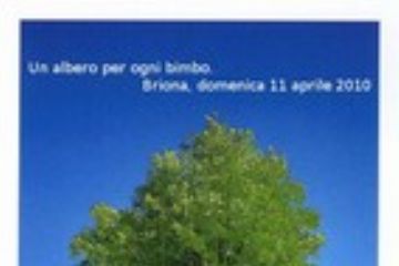 Un albero per ogni bimbo - nati nel 2008  e 2009