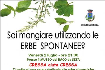 Sai mangiare utilizzando le erbe spontanee?
