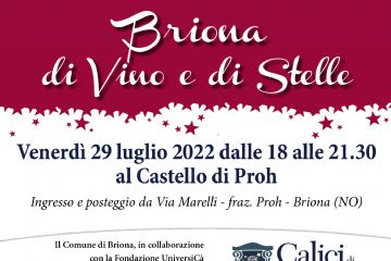 Briona di Vino e di Stelle