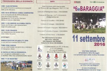 6 in Baraggia